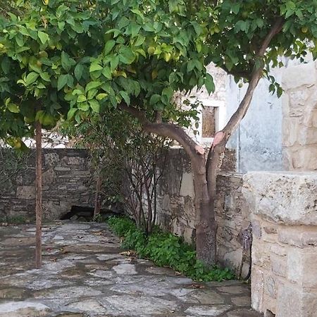 Small Traditional House In Asfendiou Kos Agios Dimitrios  外观 照片