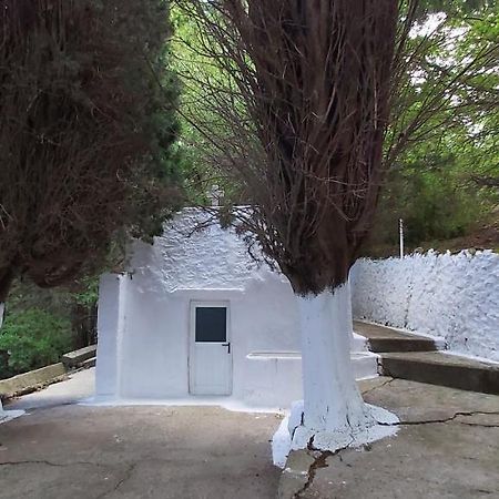 Small Traditional House In Asfendiou Kos Agios Dimitrios  外观 照片