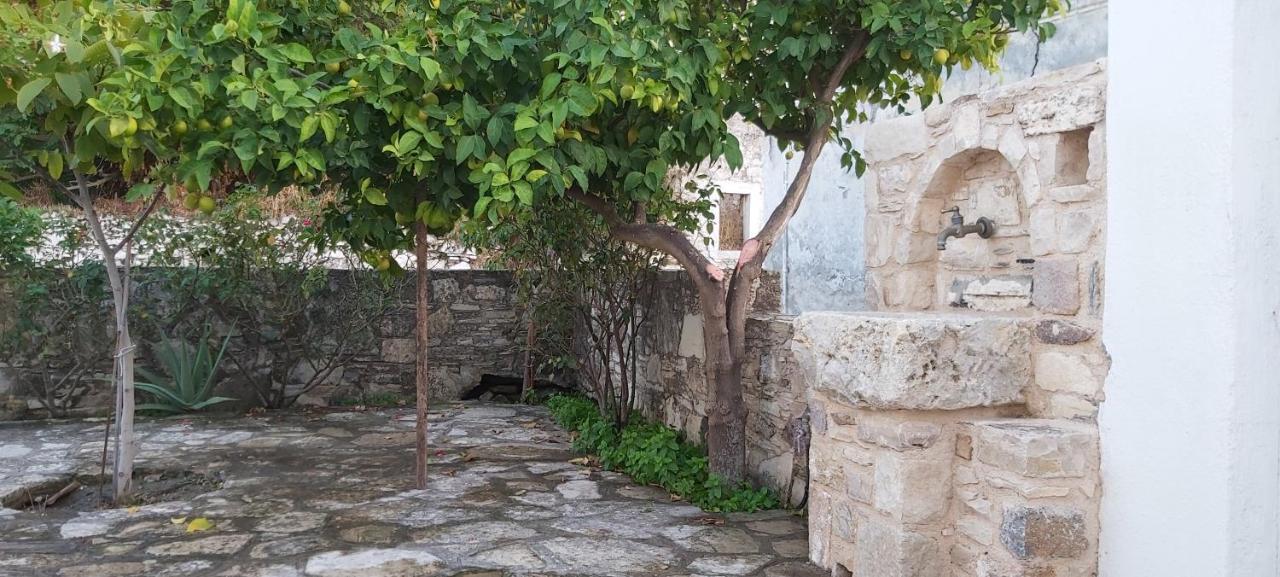 Small Traditional House In Asfendiou Kos Agios Dimitrios  外观 照片