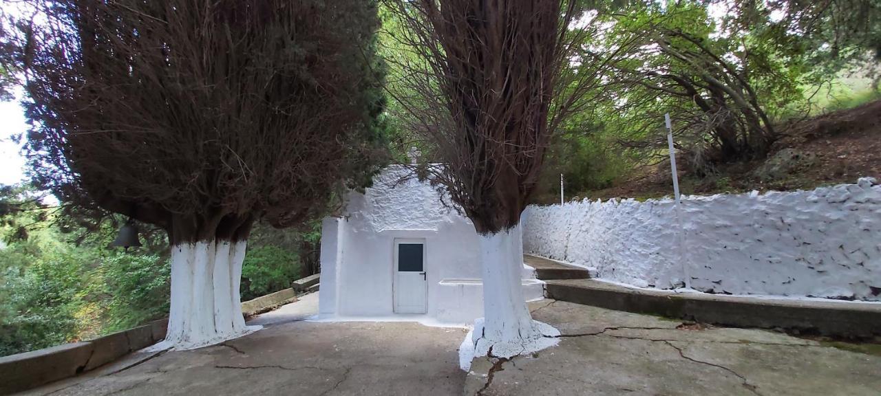 Small Traditional House In Asfendiou Kos Agios Dimitrios  外观 照片